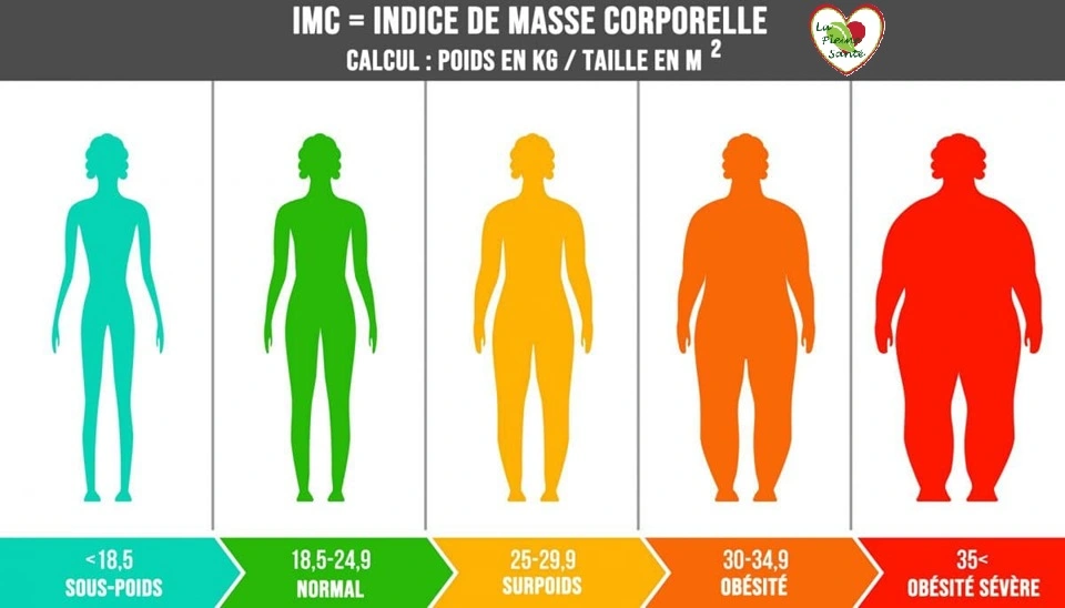 Croquis avec des silhouettes de personnes avec des IMC différents