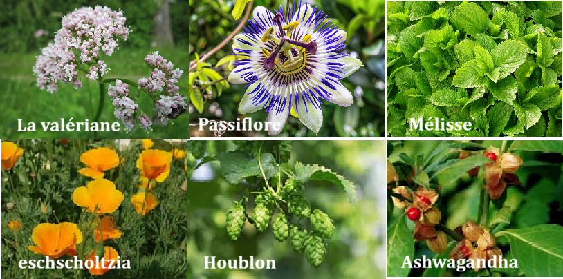 Améliorer son sommeil