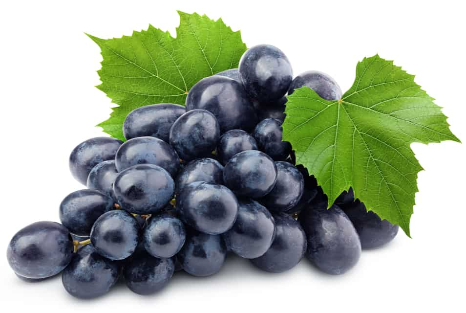 le raisin noir