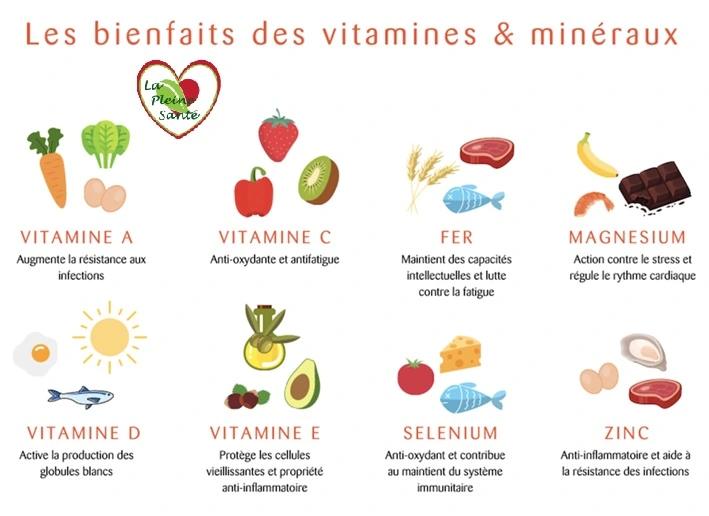 les vitamines et minéraux
