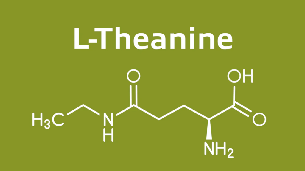 L'alliance caféine + L-théanine