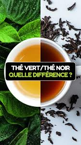 thé vert thé noir