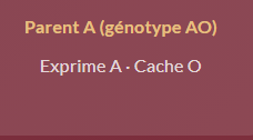 Génotype AO