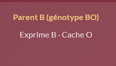 Génotype BO