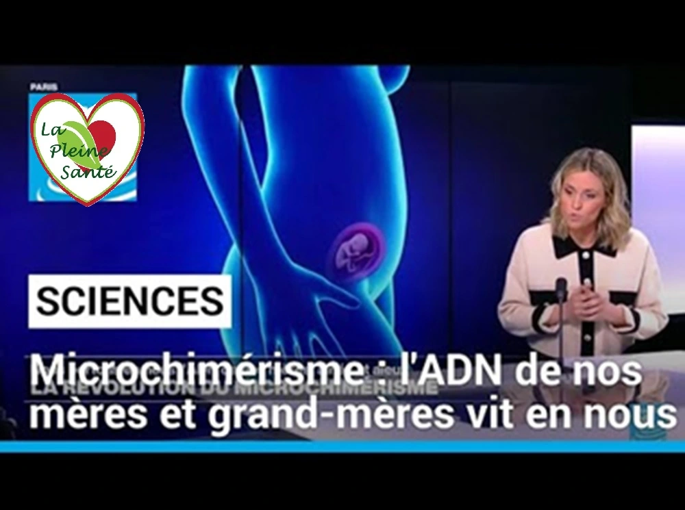 Le Microchimérisme