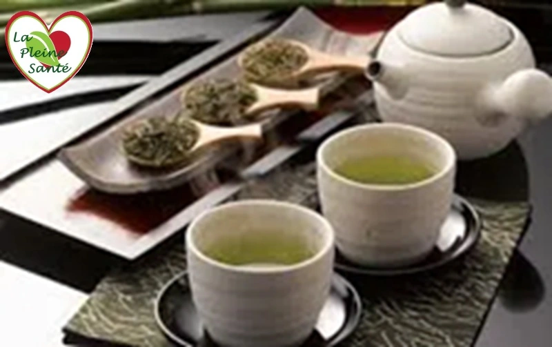 Plusieurs thés verts japonais pour une dégustation