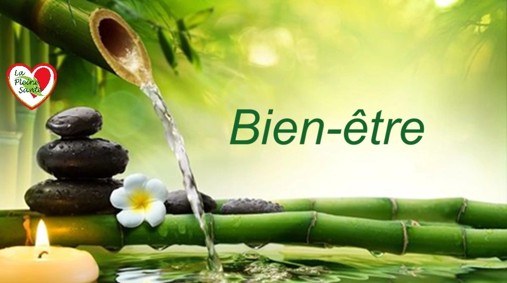 Bien-être dans un milieu  anti stress, relaxant, avec le bruit de l'eau , il suffit d’adopter des habitudes simples et naturelles.