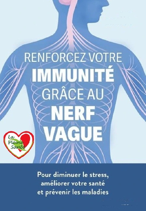 Nerf vague et système immunitaire : le réflexe qui relie les nerfs à l'immunité